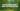 Ancient Mayan ruins surrounded by lush jungle, golden sunlight, detailed stone carvings, realistic.