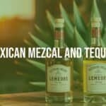 Two bottles of Mexican mezcal and tequila, rustic wooden table, agave plant in background, warm sunset lighting, traditional Mexican decor, realistic.