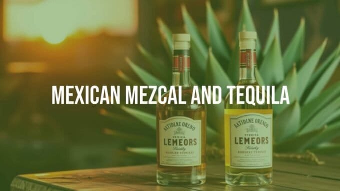Two bottles of Mexican mezcal and tequila, rustic wooden table, agave plant in background, warm sunset lighting, traditional Mexican decor, realistic.